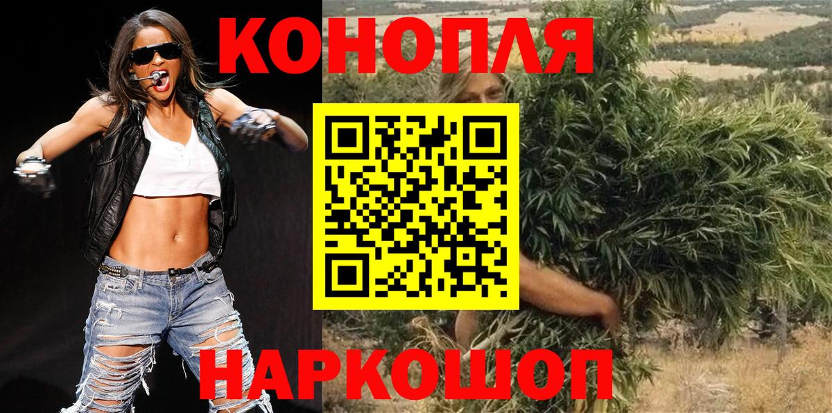 Канабис сатива Россошь